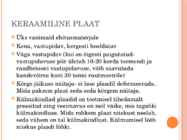 Keraamilised põrandaplaadid #2