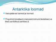Antarktika #4