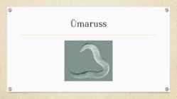 Ümarussid #5