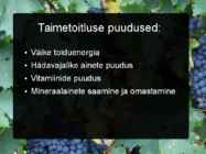 TAIMETOITLUS #6