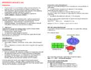 BIOLOOGIA I periood 3-osa