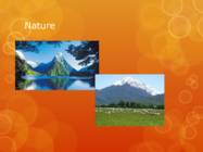 New Zealand #6