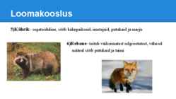 Palumetsad #26