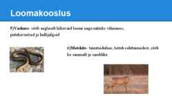 Palumetsad #8