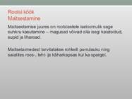 Rootsi köök #6