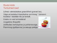 Rootsi köök #8