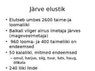Baikali järv #7