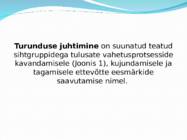 Turundus #4