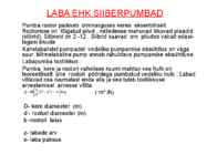 LAEVA ABIMEHHANISMID #28