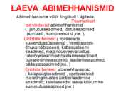 LAEVA ABIMEHHANISMID