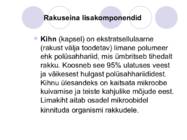 Bakteriraku ehitus #11