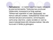 Bakteriraku ehitus #5