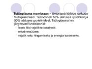 Bakteriraku ehitus #6