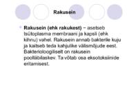 Bakteriraku ehitus #8