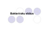 Bakteriraku ehitus