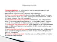 VEESEADUS #29
