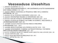 VEESEADUS #4