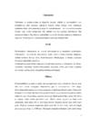 Vihmametsad #3