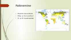 Niiske lähistroopiline mets #2