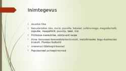Niiske lähistroopiline mets #12