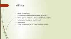 Niiske lähistroopiline mets #3