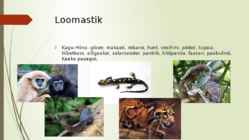 Niiske lähistroopiline mets #8
