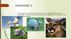 Niiske lähistroopiline mets #9