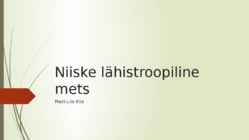 Niiske lähistroopiline mets