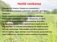 Järve elustik-järve loomad-taimed-putukad #6