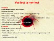 Järve elustik-järve loomad-taimed-putukad #8