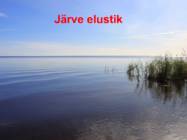 Järve elustik-järve loomad-taimed-putukad