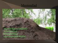 Mustmullad #2
