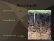 Mustmullad #3