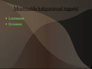Mustmullad #9