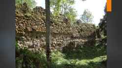 HELME ORDULINNUS #7