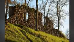 HELME ORDULINNUS #9