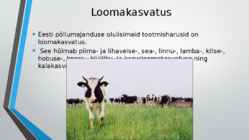 Eesti põllumajandus #4