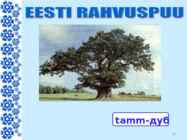 EESTIMAA #22