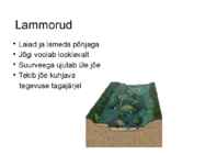 Vooluveetekkelised kulutusvormid #7