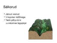 Vooluveetekkelised kulutusvormid #8