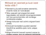 Seened #3