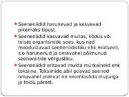 Seened #5
