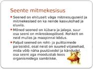 Seened #9