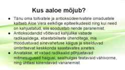 Aaloe vera #14