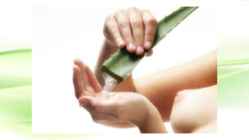 Aaloe vera #5
