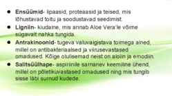 Aaloe vera #8