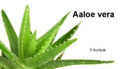 Aaloe vera