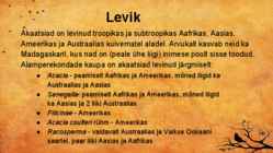 Akaatsia #11