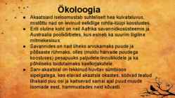 Akaatsia #13