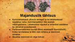 Akaatsia #17